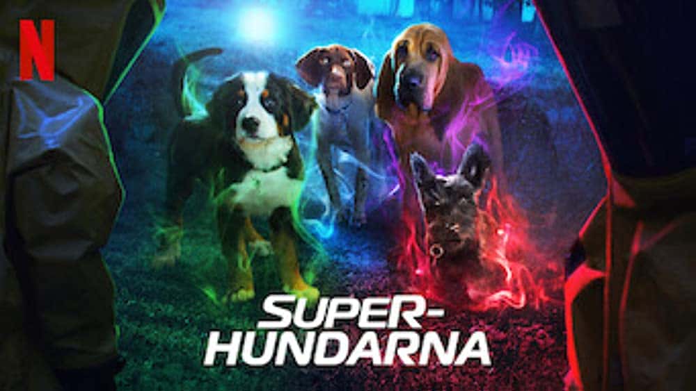 原版纪录片《超级小狗Z/Super PupZ》S01 WEBRip x264-ION10 原版无字纪录片解说素材1080高清下载
