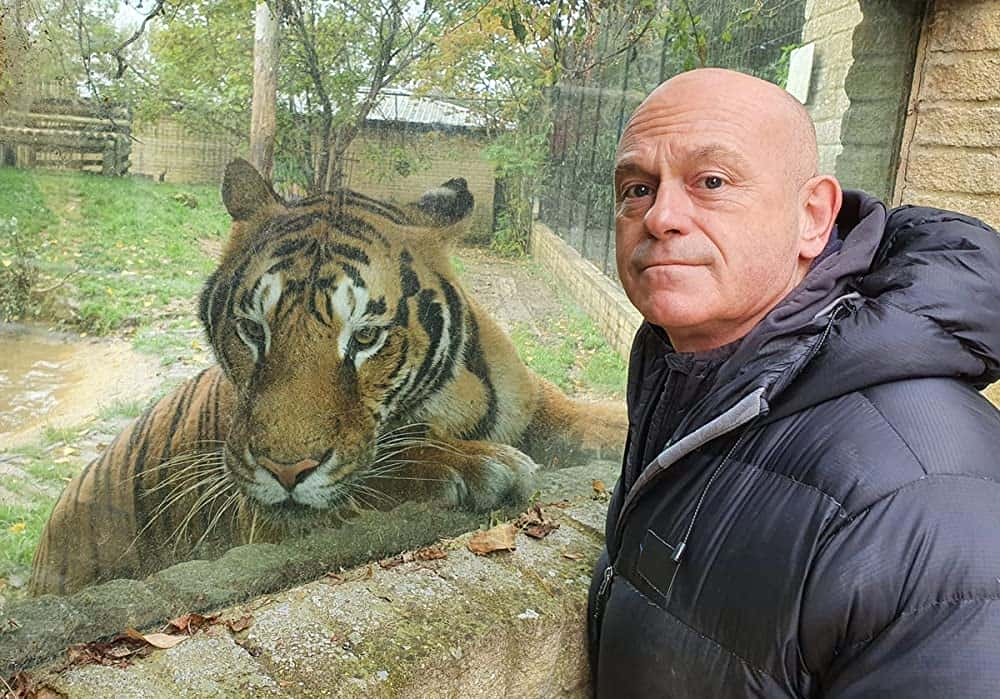 原版纪录片《英国虎王与 Ross Kemp 一起踏上征途/Britains Tiger Kings On the Trail with Ross Kemp》S01 720p HDTV x264-DARKFLiX 原版无字纪录片解说素材1080高清下载