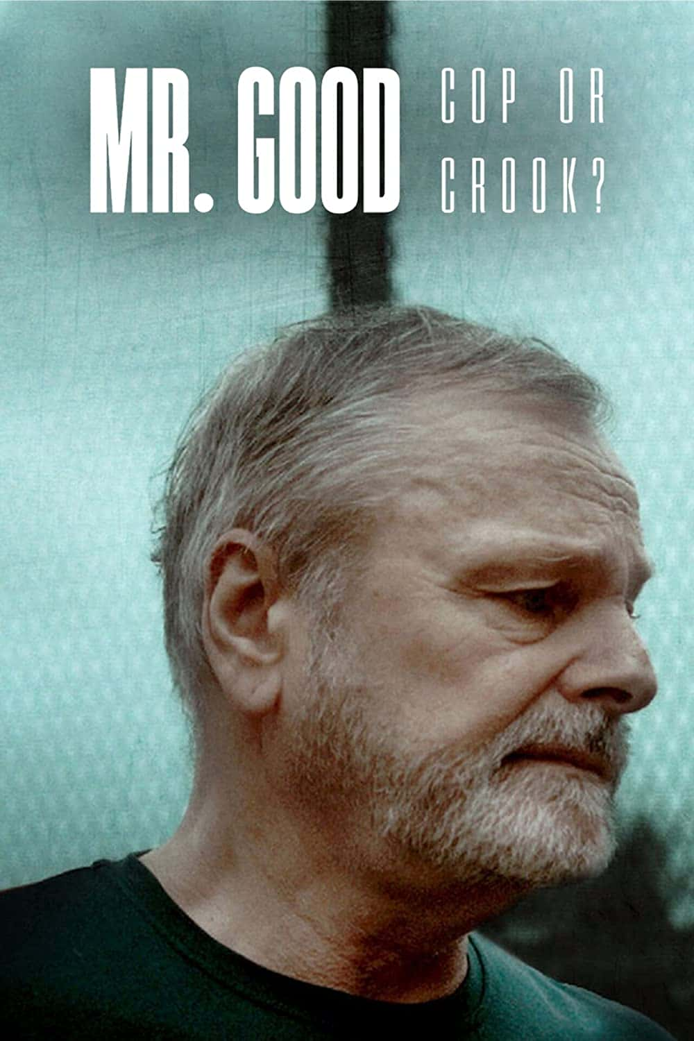 原版纪录片《好警察先生或骗子/Mr Good Cop or Crook》S01 NORWEGIAN WEBRip x265-ION265 原版无字纪录片解说素材1080高清下载