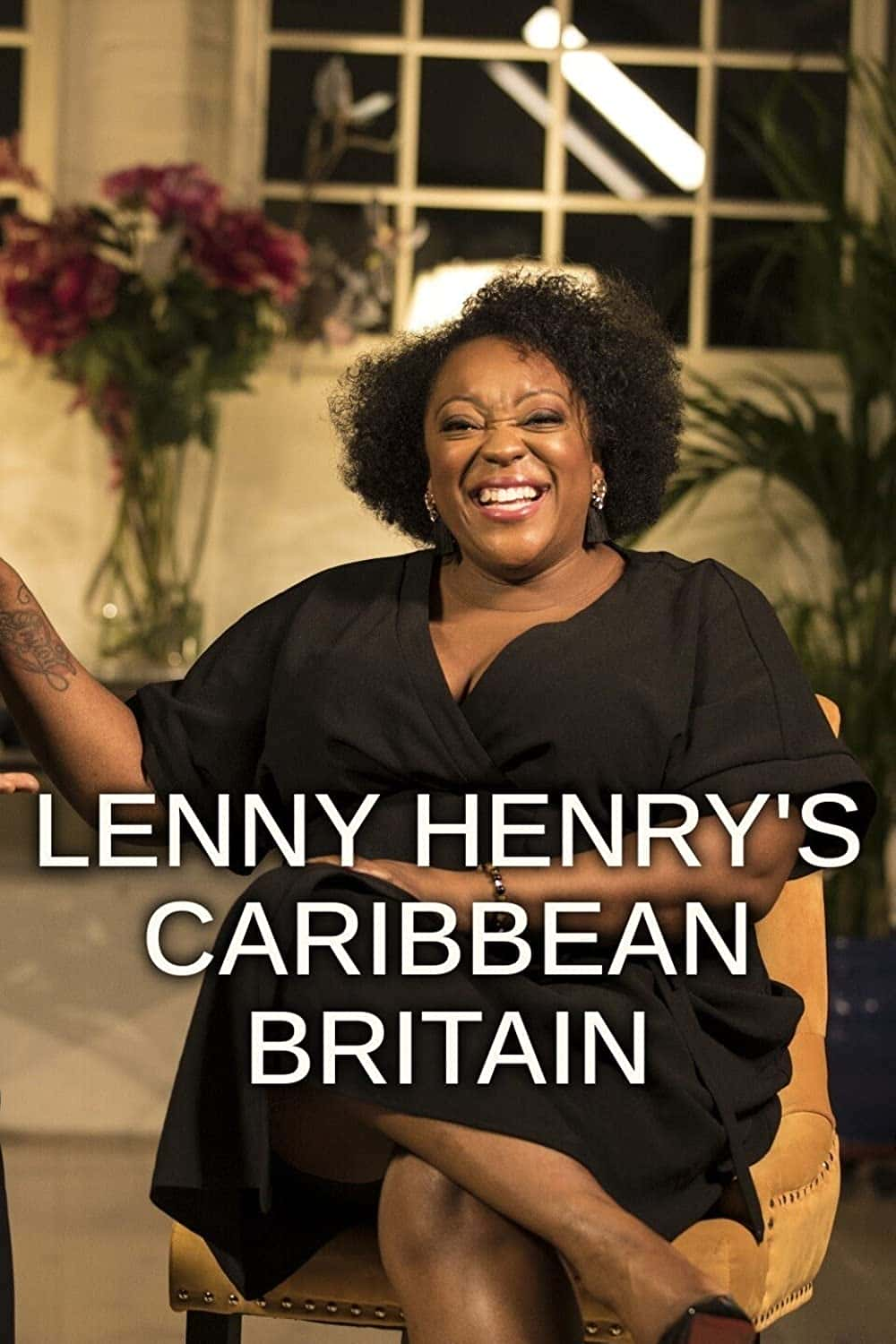 原版纪录片《Lenny Henrys 加勒比不列颠/Lenny Henrys Caribbean Britain》S01 1080p iP WEBRip AAC2 0 x264-RNG 原版无字纪录片解说素材1080高清下载