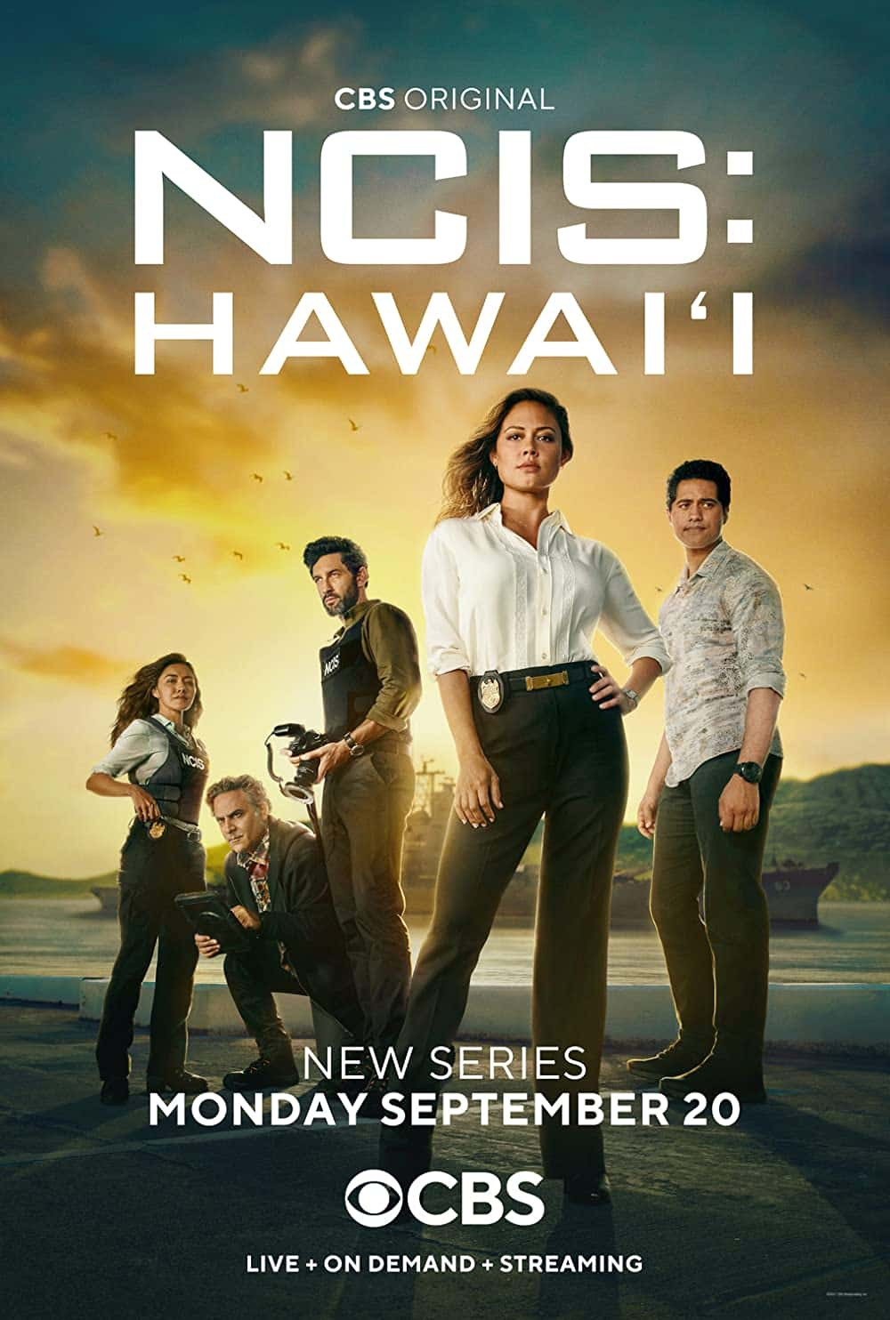 原版纪录片《夏威夷海军罪案调查处/NCIS Hawaii》S01 WEBRip x264-ION10 原版无字纪录片解说素材1080高清下载