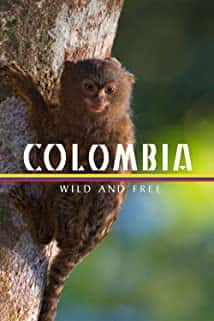 原版纪录片《哥伦比亚狂野而自由/Colombia Wild And Free》S01 1080p AMZN WEBRip DDP5 1 x264-NTb 原版无字纪录片解说素材1080高清下载