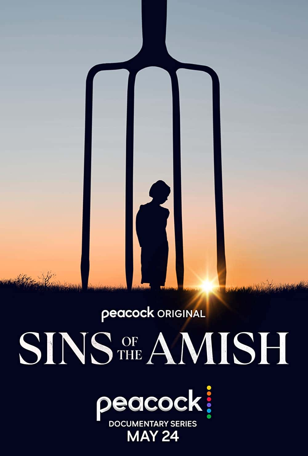 原版纪录片《阿米什人的罪孽/Sins of the Amish》S01 1080p PCOK WEBRip DDP5 1 x264-KOGi 原版无字纪录片解说素材1080高清下载