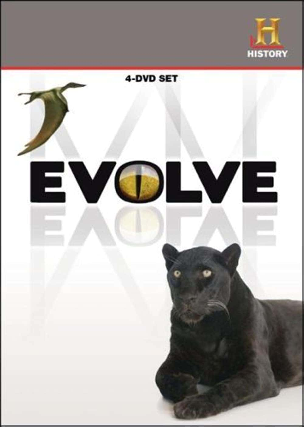 原版纪录片《进化 2021/Evolve 2021》S01 1080p AMZN WEBRip DDP5 1 x264-OPUS 原版无字纪录片解说素材1080高清下载