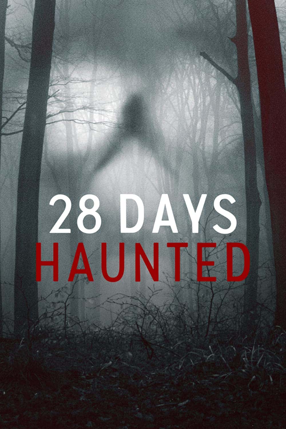 原版纪录片《闹鬼28天/28 Days Haunted》S01 720p NF WEBRip DDP5 1 x264-SMURF 原版无字纪录片解说素材1080高清下载
