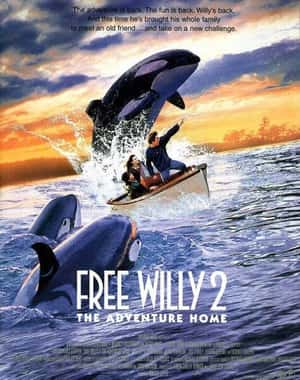 剧情家庭冒险电影《威鲸闯天关2(1995)/ Free Willy 2: The Adventure Home/人鱼的童话2》-电影资源1080P/720P/360P高清标清网盘BT迅雷下载