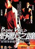 剧情动作电影《野兽之瞳(2001)/Born Wild》-电影资源1080P/720P/360P高清标清网盘BT迅雷下载