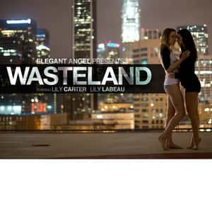 剧情情色同性电影《荒地(2012)/ Wasteland/Wasteland》-电影资源1080P/720P/360P高清标清网盘BT迅雷下载