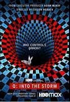 纪录影视剧《Q:进入风暴 第一季(2021)/ Q: Into the Storm》-影视资源1080P/720P/360P高清标清网盘BT迅雷下载