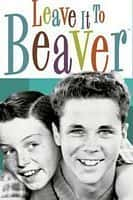 喜剧家庭影视剧《天才小麻烦(1957)/ Leave It to Beaver》-影视资源1080P/720P/360P高清标清网盘BT迅雷下载