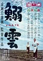 剧情电影《鲱云(1958)/ 鰯雲/鳞云 / 鰯雲 / Iwashigumo / Herringbone Clouds》-电影资源1080P/720P/360P高清标清网盘BT迅雷下载