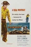 西部电影《牛仔(1958)/ Cowboy/草莽双雄》-电影资源1080P/720P/360P高清标清网盘BT迅雷下载