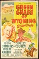 剧情家庭西部电影《怀俄明州的绿草(1948)/ Green Grass of Wyoming/飞龙引凤(港/台)》-电影资源1080P/720P/360P高清标清网盘BT迅雷下载