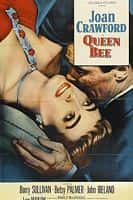 剧情电影《女王蜂(1955)/ Queen Bee/辣手女王蜂(台)》-电影资源1080P/720P/360P高清标清网盘BT迅雷下载