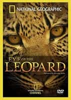 纪录电影《国家地理：豹的眼睛(2006)/ National Geographic: Eye of the Leopard/花豹之眼》-电影资源1080P/720P/360P高清标清网盘BT迅雷下载