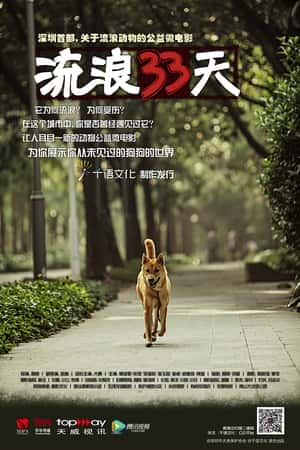 剧情短电影《流浪33天(2013)》-电影资源1080P/720P/360P高清标清网盘BT迅雷下载