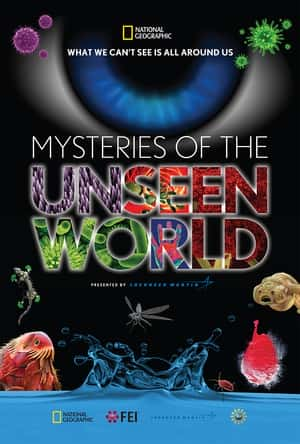 纪录短电影《未知世界的秘密(2013)/ Mysteries of the Unseen World》-电影资源1080P/720P/360P高清标清网盘BT迅雷下载