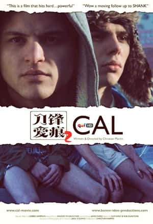 同性电影《刀锋爱痕2(2013)/ Cal/卡尔》-电影资源1080P/720P/360P高清标清网盘BT迅雷下载