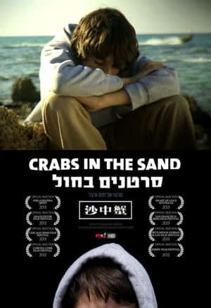 剧情同性电影《沙中蟹(2012)/ Crabs in the Sand/沙里的螃蟹》-电影资源1080P/720P/360P高清标清网盘BT迅雷下载