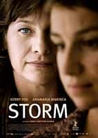 电影《控诉风暴(2009)/ Storm/证人风暴 / Sturm》-电影资源1080P/720P/360P高清标清网盘BT迅雷下载