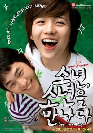 剧情同性电影《当少年遇到少年(2008)/ 소년, 소년을 만나다/男孩遇见男孩 / 少年，遇到少年 / Boy Meets Boy / 男得遇见你(台)》-电影资源1080P/720P/360P高清标清网盘BT迅雷下载