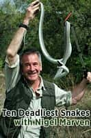 纪录影视剧《十大毒蛇 第一季(2014)/ Ten Deadliest Snakes with Nigel Marven》-影视资源1080P/720P/360P高清标清网盘BT迅雷下载