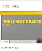 纪录电影《国家地理.动物天才.狗/ National Geographic Brilliant Beasts Dog Genius》-电影资源1080P/720P/360P高清标清网盘BT迅雷下载