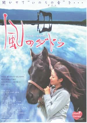 剧情电影《风之音(2006)/ 風のダドゥ/Kaze no daddu》-电影资源1080P/720P/360P高清标清网盘BT迅雷下载