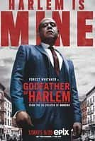 剧情犯罪影视剧《哈林教父 第一季(2019)/ Godfather of Harlem》-影视资源1080P/720P/360P高清标清网盘BT迅雷下载