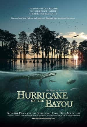 纪录电影《海湾的飓风(2006)/ Hurricane on the Bayou》-电影资源1080P/720P/360P高清标清网盘BT迅雷下载