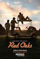 剧情喜剧影视剧《红橡树 第二季(2016)/ Red Oaks》-影视资源1080P/720P/360P高清标清网盘BT迅雷下载