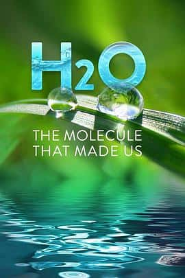 影视剧《H2O: The Molecule That Made Us(2020)》-影视资源1080P/720P/360P高清标清网盘BT迅雷下载