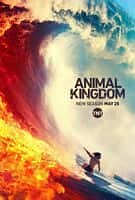 剧情犯罪影视剧《野兽家族 第四季(2019)/ Animal Kingdom/动物王国》-影视资源1080P/720P/360P高清标清网盘BT迅雷下载