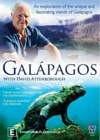 纪录影视剧《加拉帕戈斯 3D 第一季(2013)/ Galapagos With David Attenborough/Galapagos 3D》-影视资源1080P/720P/360P高清标清网盘BT迅雷下载