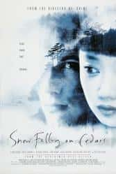 爱情电影《落在香杉树的雪花 1999》-电影资源1080P/720P/360P高清标清网盘BT迅雷下载