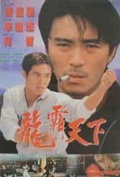 动作电影《龙在天涯 1989》-电影资源1080P/720P/360P高清标清网盘BT迅雷下载