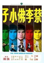 动作电影《蔡李佛小子 1976》-电影资源1080P/720P/360P高清标清网盘BT迅雷下载