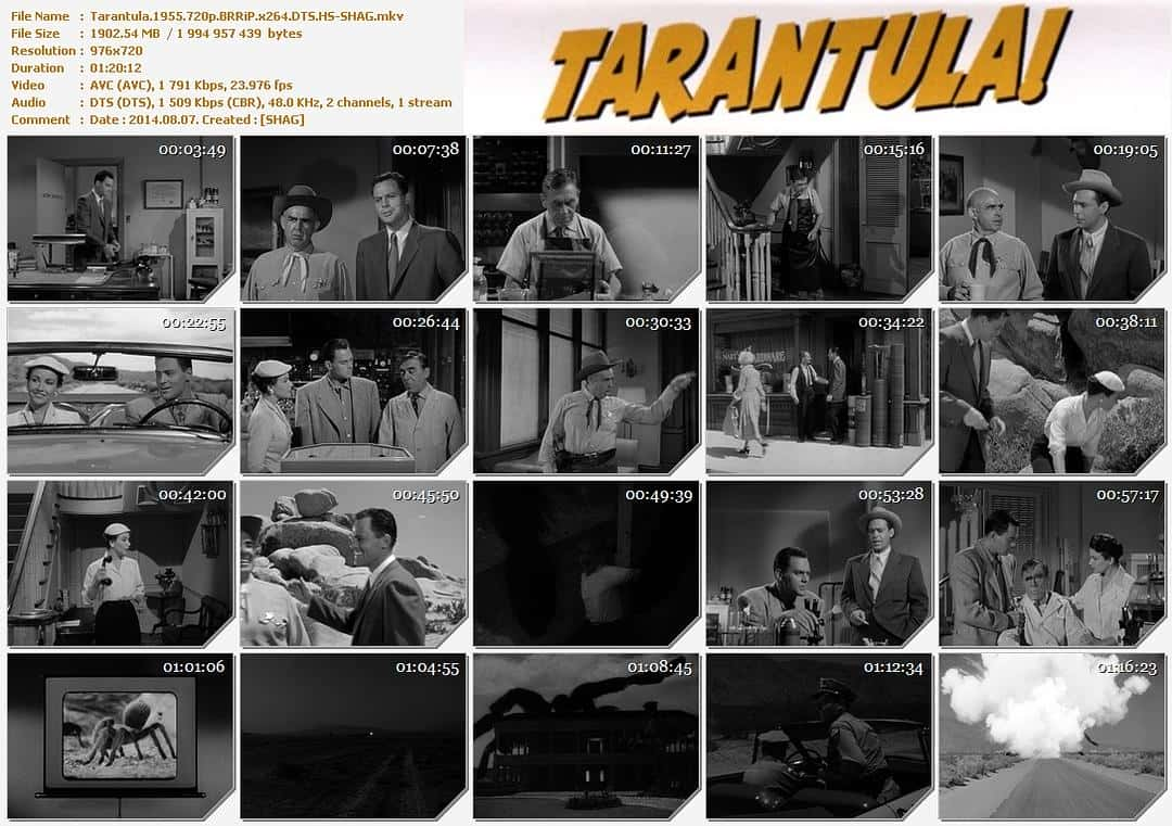 科幻恐怖电影《狼蛛(1955)/ Tarantula/塔蓝图拉毒蛛》-电影资源1080P/720P/360P高清标清网盘BT迅雷下载