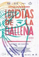 剧情电影《Los días de la ballena(2019)/Days of the Whale》-电影资源1080P/720P/360P高清标清网盘BT迅雷下载