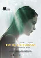 剧情电影《生活在鱼缸里(2014)/ Vonarstræti/Life in a Fishbowl》-电影资源1080P/720P/360P高清标清网盘BT迅雷下载