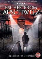 剧情电影《逃离奥斯威辛(2020)/ The Escape from Auschwitz》-电影资源1080P/720P/360P高清标清网盘BT迅雷下载