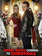 喜剧爱情电影《Guess Who's Coming to Christmas(2013)/La sorpresa di Natale》-电影资源1080P/720P/360P高清标清网盘BT迅雷下载