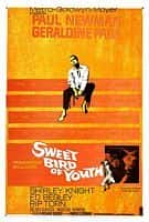 剧情电影《春浓满楼情痴狂(1962)/ Sweet Bird of Youth/青春浪子 / 青春美女 / 浓爱痴情》-电影资源1080P/720P/360P高清标清网盘BT迅雷下载