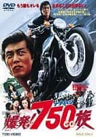 剧情动作电影《爆発！７５０ＣＣ（ナナハン）族(1976)/Detonation! 750cc Gang / Bakuhatsu! Nana-han zoku》-电影资源1080P/720P/360P高清标清网盘BT迅雷下载