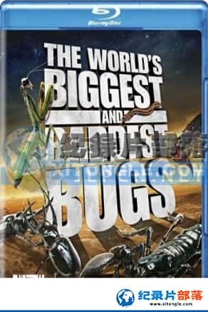  ¼Ƭ-¡The world's biggest and badest bugs-Ѹ