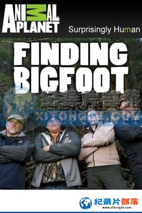  ¼Ƭ-Źִ˵Finding Bigfoot-Ѹ