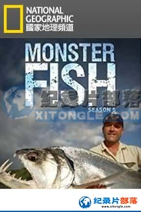 ҵ ¼Ƭ-Ѱҳ㡷Monster Fish-Ѹ