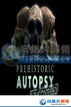 BBCż¼Ƭ-ؽԭòPrehistoric Autopsy-Ѹ