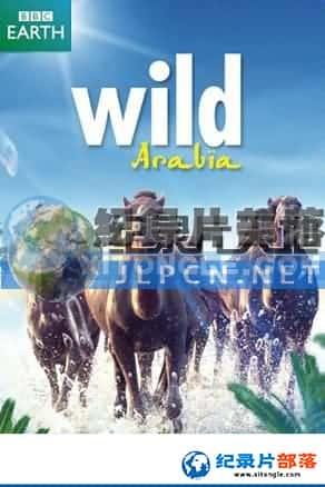 BBC½ؼ¼Ƭ-Ұ԰Wild Arabia-Ѹ