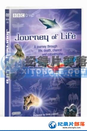 BBC纪录片《生命之旅》Journey of Life-高清完整版网盘迅雷下载